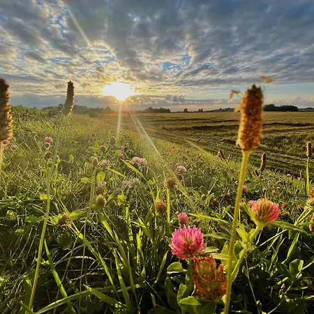 Apartman Haus Sterntaucher 